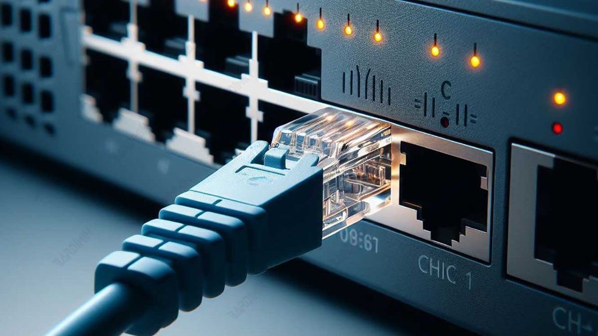 Network cable connected to a switch