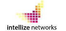 Intellize Cyber Security
